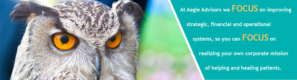 At Aegle Advisors we focus on improving       strategic, financial and operational           systems, so you can focus on               realizing your own corporate mission                   of helping and healing patients.