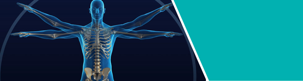 At Aegle Advisors we focus on improving       strategic, financial and operational           systems, so you can focus on               realizing your own corporate mission                   of helping and healing patients.